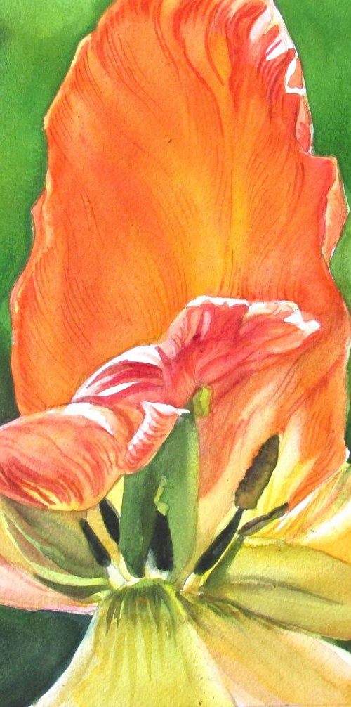 A painting a day #30 "tulip with green" by Alfred  Ng