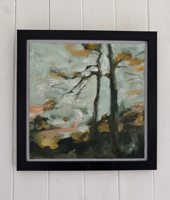 High Forest