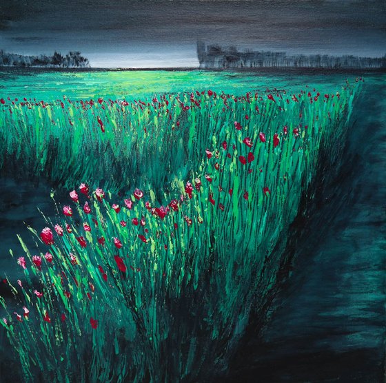 Poppies  - Fields and Colors Series