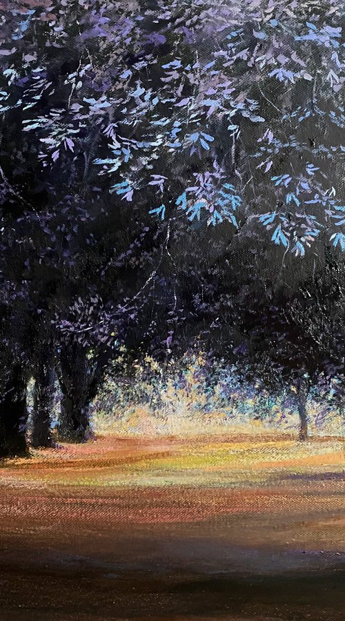 Barton Park by Simon Jones