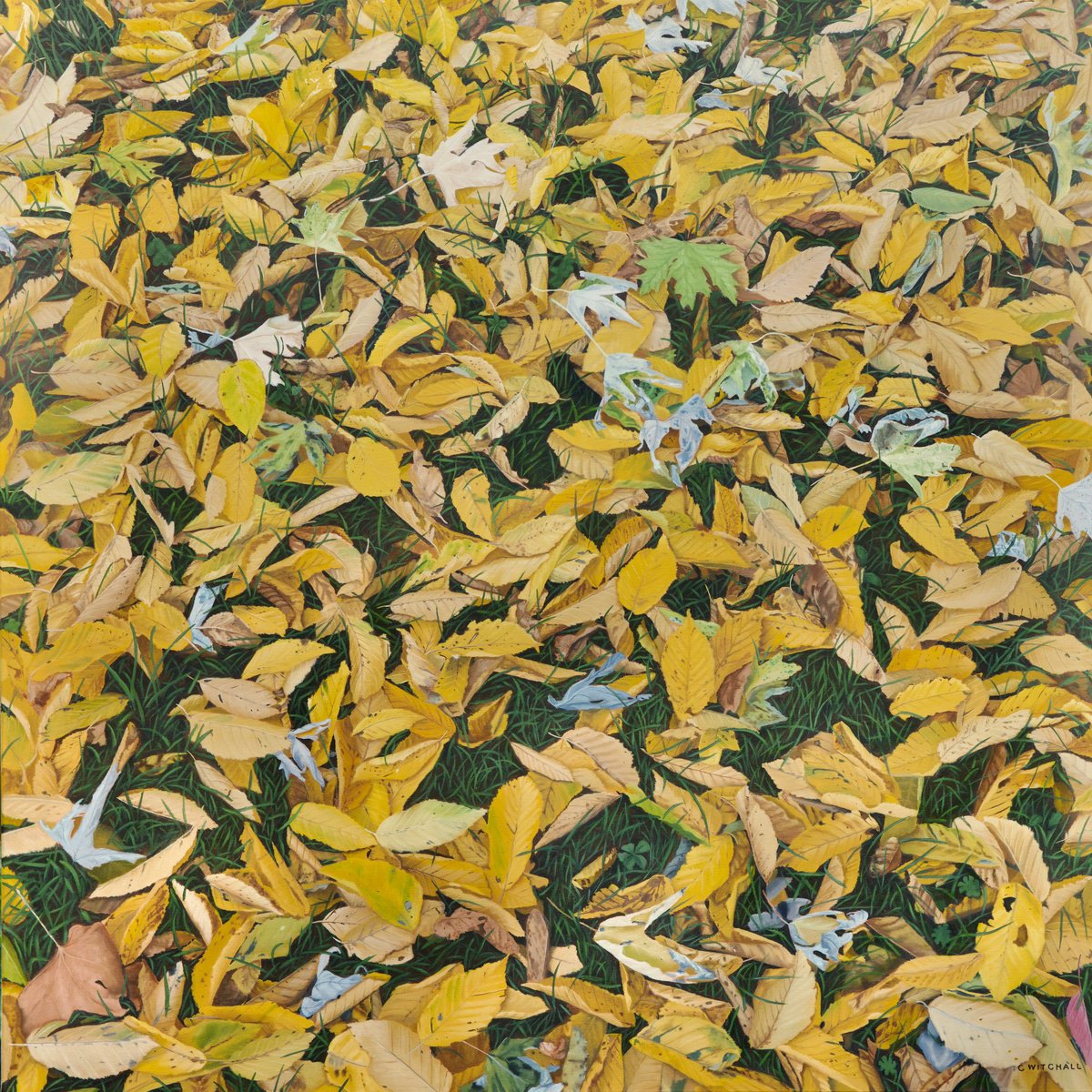 Photorealistic Landscape Oil Painting By Christopher Witchall, 40 X 40, Leaf Fall, Original Artwork
