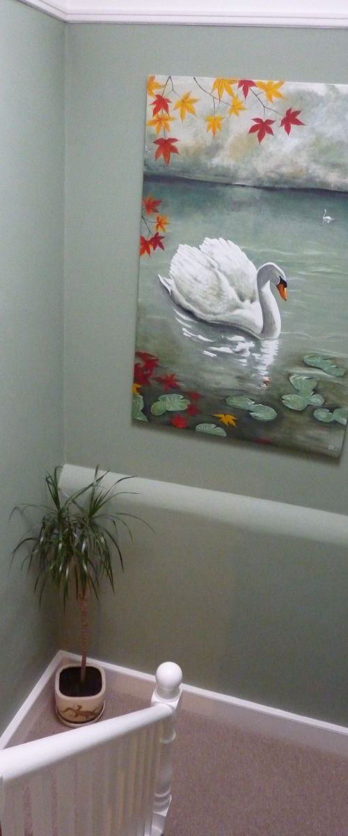 Swan Lake by Daniel Walter