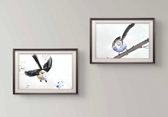 Aegithalos caudatus Bird