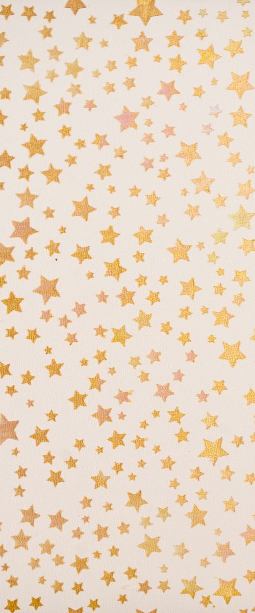 Falling Stars by Sean Christopher Ward