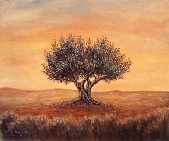 Olive tree