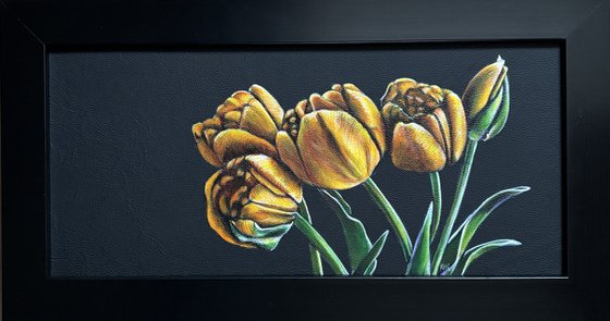 Orange Tulips