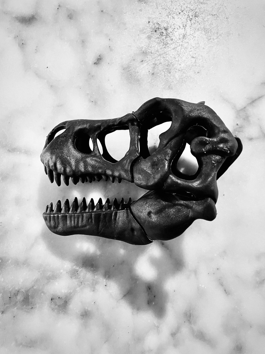 Photorealistic Photograph , Abc#207 T-Rex By Mattia Paoli, 44 X 59, Artwork For Sale On Artfinder