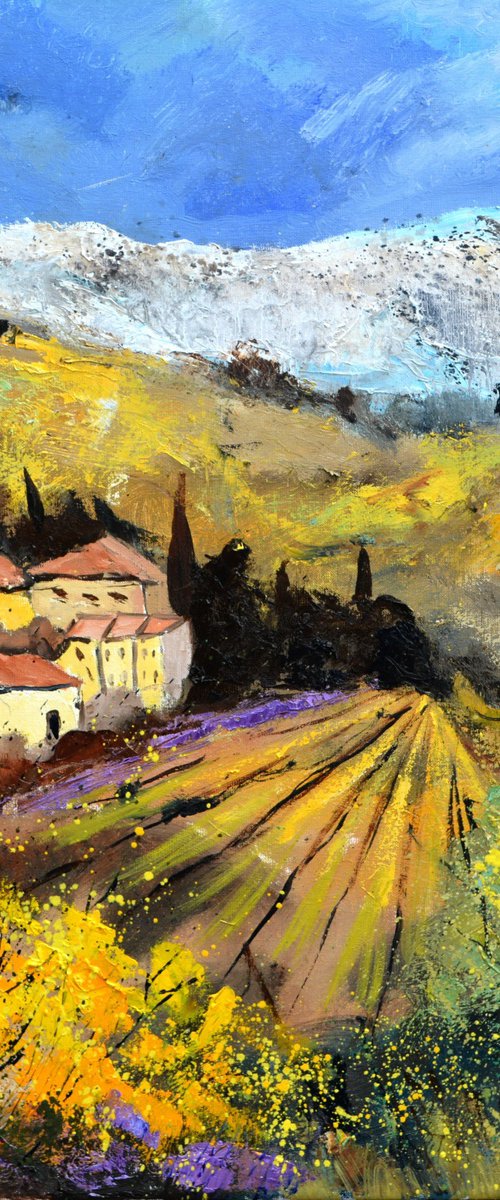 A nice place  in Provence France - 8823 by Pol Henry Ledent