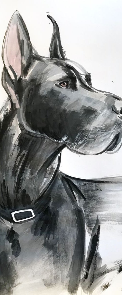 Great Dane, acrylic painting on paper by Leysan Khasanova