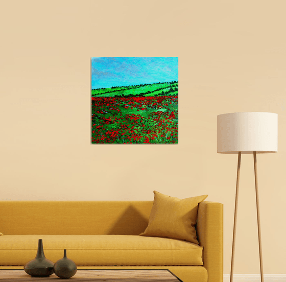 Hampshire Poppy field