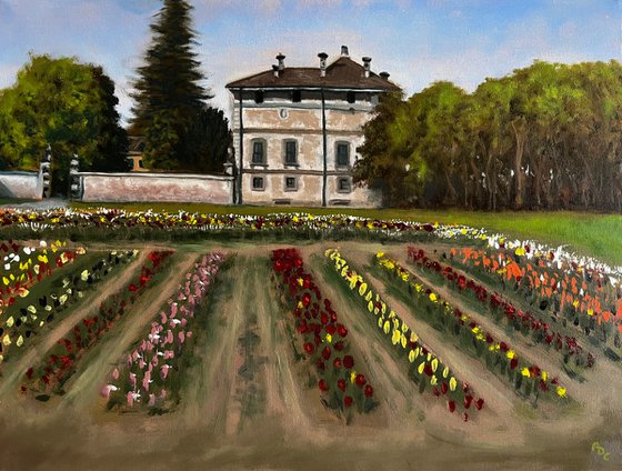 Springtime in Groppello d’Adda - Red Tulips