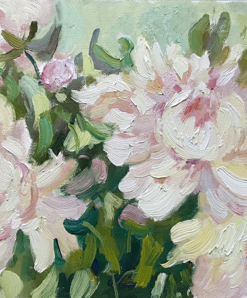 Peonies by Yuliia Pastukhova