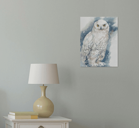 White Owl Vida