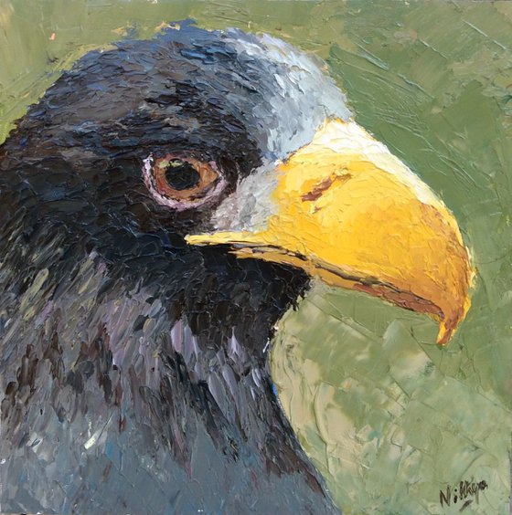 Ms.Glowing Beak - Textured Bird Portrait in Oils