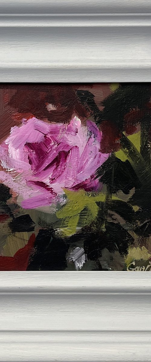 Purple Rose by Parastoo Ganjei