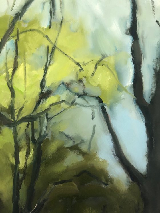 A Glimmer of Spring