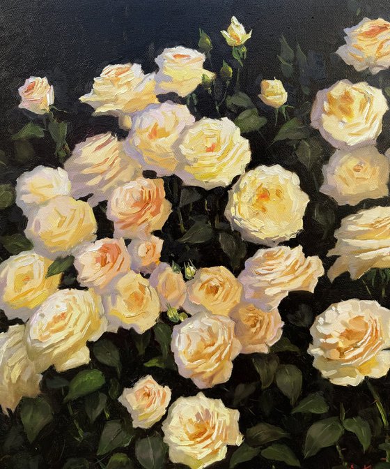 Yellow and Peach Roses