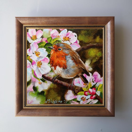 Robin Bird Painting