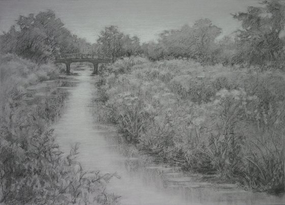 Summer Day, DuPage River