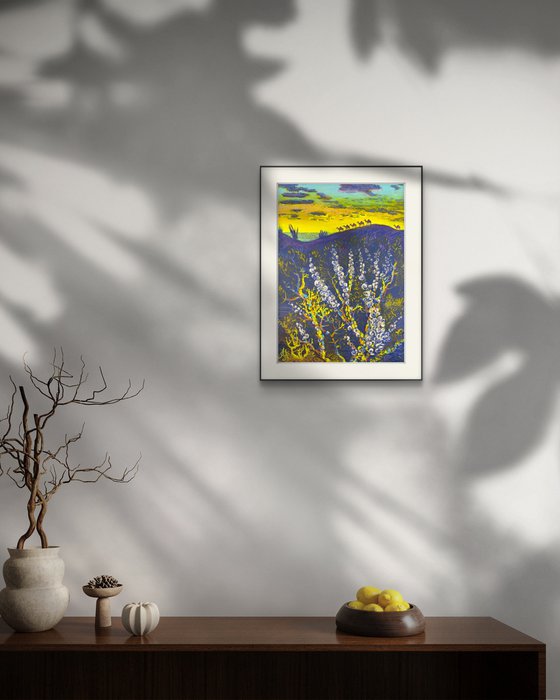 Snail Corals and a Camel Caravan