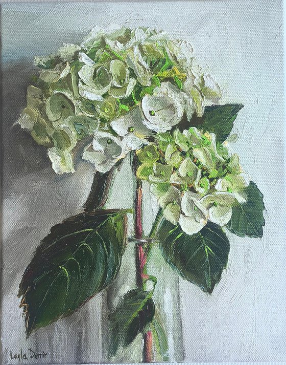 White hydrangea flower