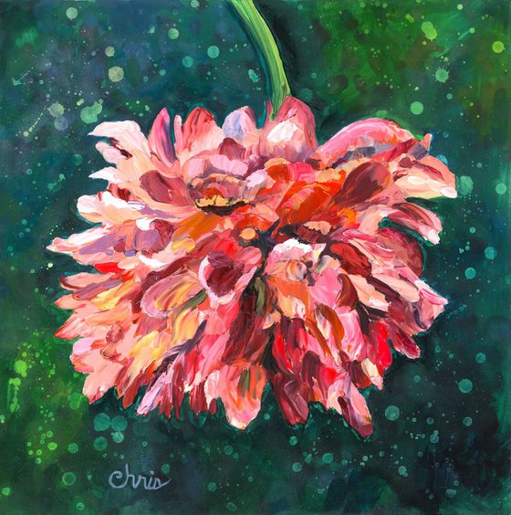 "Coral Sunset" Peony