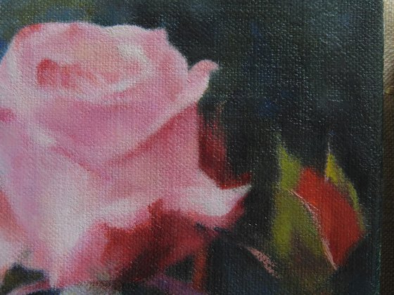 Roses and the Stream of Time