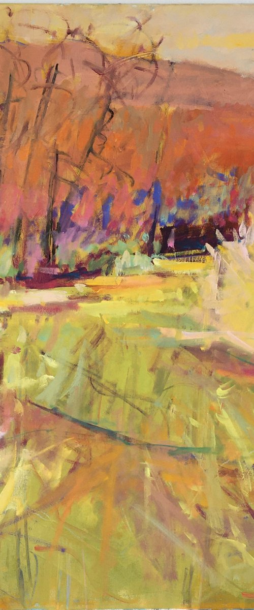 Boggy Grasses in the Wild Garden by Chrissie Havers