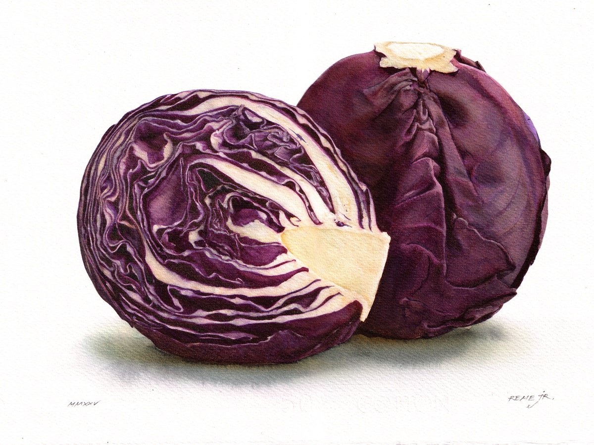Photorealistic Still Life Watercolour By Reme Jr., 13 X 9", Red Cabbage, Original Artwork