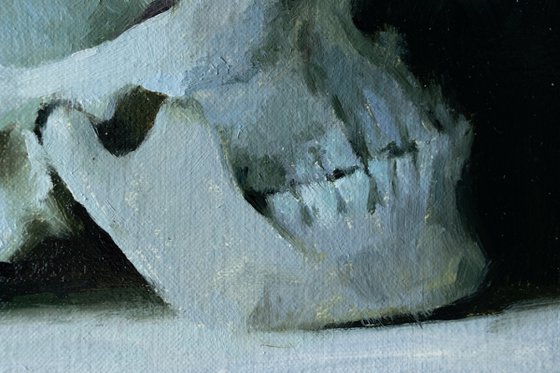 “Skull In The Dark”