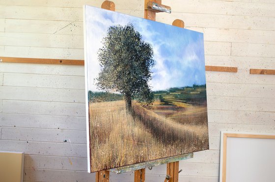 Meadow In Late Summer