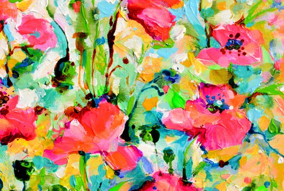 Red Opium Poppy Field