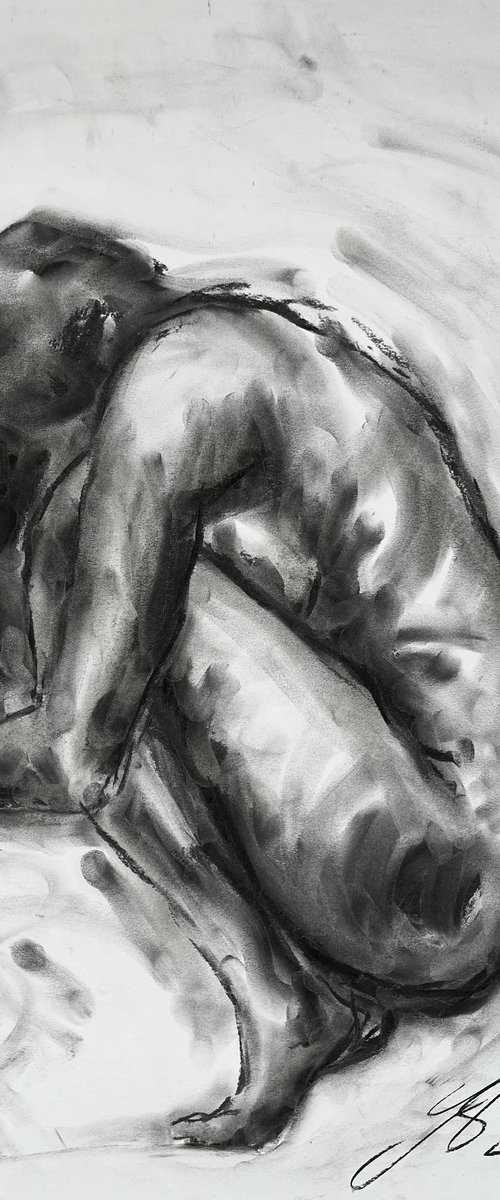 Extraordinary by James Shipton