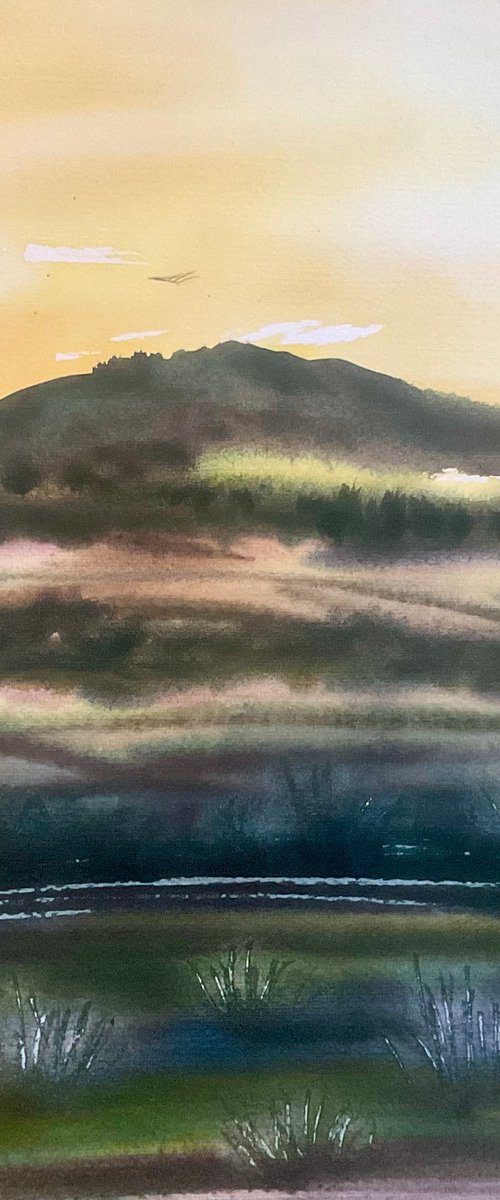 Creech Barrow hill, Dorset by Samantha Adams