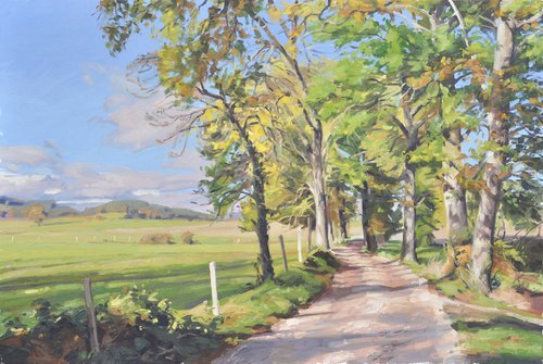 October 24, country lane in Saint Vincent by ANNE BAUDEQUIN