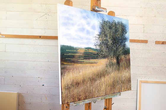 Meadow In Late Summer 2