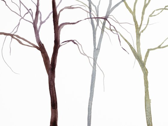 Tree Study No. 38