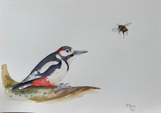 Woodpecker and bee