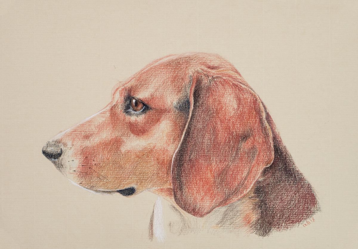 Red Pointer/Hound Dog on Sand-Coloured Paper by Wendy Booth