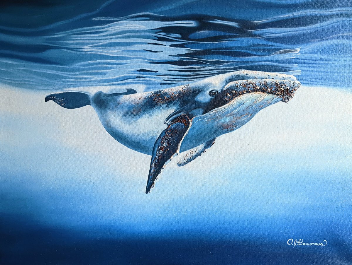 Blue Whale by Olena Abakumova