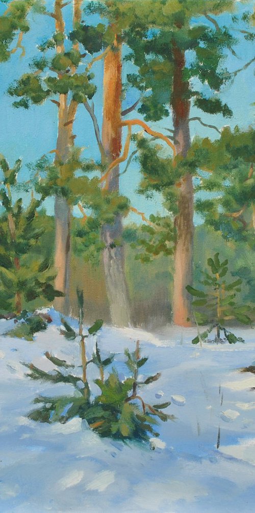 Ukrainian Winter Pine Forest by Anna Shevel