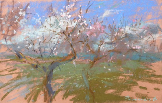 Colors of Spring