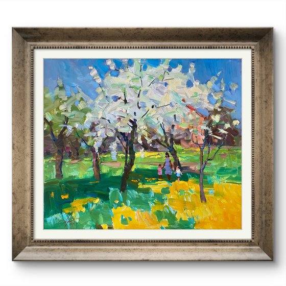 Sunny Stroll – Cherry Blossoms