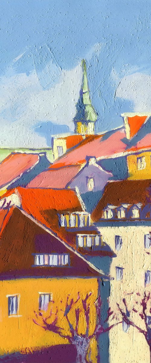 Roofs of the old town by Evgen Semenyuk