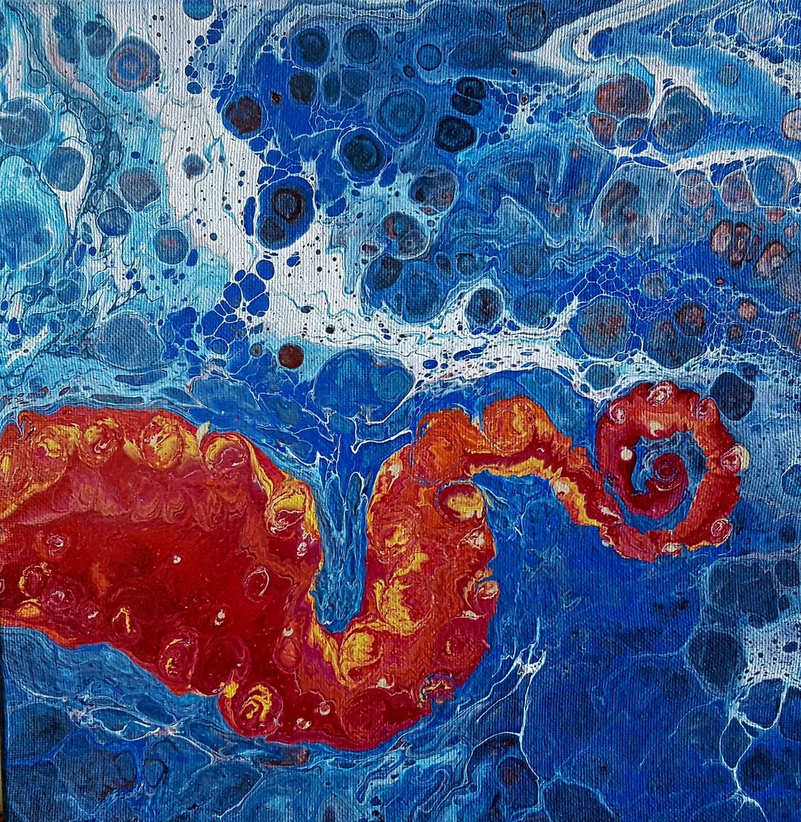 Calamari by Cathy Maiorano