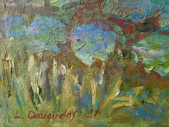 Water Lilies in autumn pond