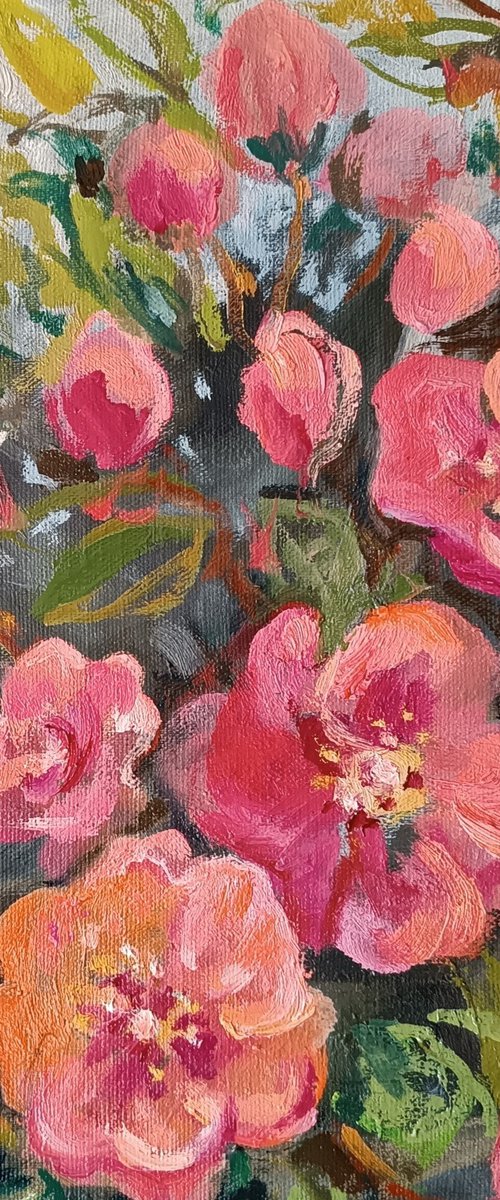 Wild Roses by Olga Lomax