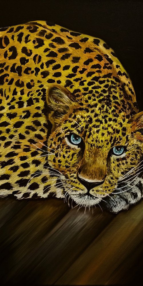 Feline charm by Anna Rita Angiolelli
