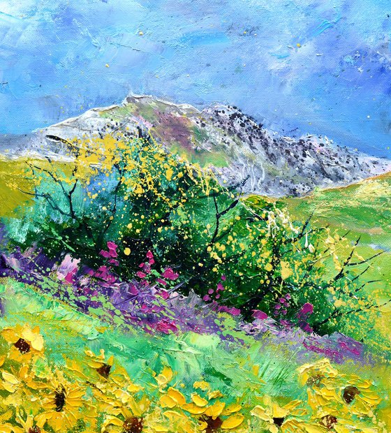 Sunflowers 66