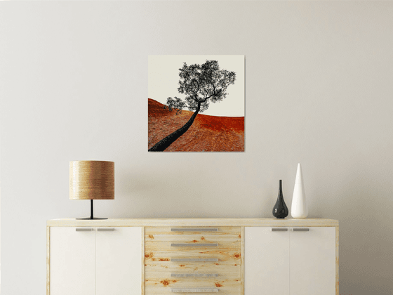 Uluru Tree